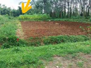 TANAH KARANGPLOSO UNTUK TOKO DAN USAHA lokasi di Malang Kab., tersedia melalui melalui situs Olx