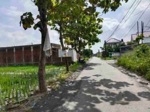 Tanah Kartasura 2930Mt, Ld 31Mt, Ngemplak, dkt UIN Raden Mas Said, Sukoharjo lokasi di Sukoharjo Kab., tersedia melalui melalui situs Olx