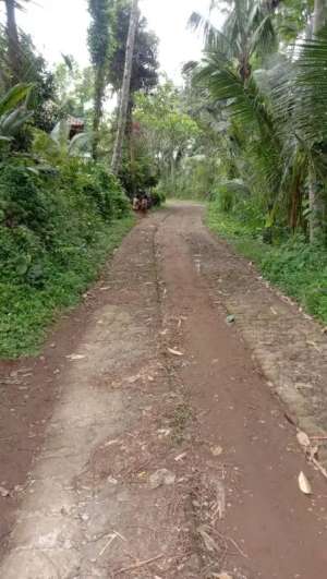 tanah kavliang siap bangun, tampaksiring Gianyar Bali lokasi di Gianyar Kab., tersedia melalui melalui situs Olx