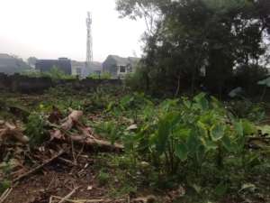 Tanah Kavling 1500m di Pamulang 2, Pamulang lokasi di Tangerang Selatan Kota, tersedia melalui melalui situs Olx