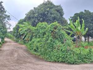 Tanah Kavling 2 Jt-An, 8 Menit The Park Sawangan Mall, SHM lokasi di Depok Kota, tersedia melalui melalui situs Olx