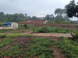 Tanah Kavling Bandung Timur Investasi Menguntungkan Lokasi Premium lokasi di Bandung Kab., tersedia melalui melalui situs Olx