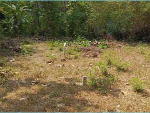 TANAH KAVLING BANTUL DEKAT LAPANGAN KASIHAN DALAM PERUMAHAN lokasi di Bantul Kab., tersedia melalui melalui situs Olx