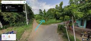 Tanah kavling bebas banjir di wonopringgo lokasi di Pekalongan Kab., tersedia melalui melalui situs Olx