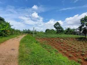 Tanah Kavling BRI Bebas Banjir Siap Bangun Di Cilodong Depok lokasi di Depok Kota, tersedia melalui melalui situs Olx