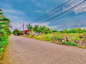 Tanah Kavling Cisauk 1 Jt-an Dekat Stasiun Jatake BSD, SHM lokasi di Tangerang Kab., tersedia melalui melalui situs Olx