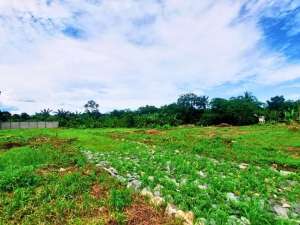 Tanah Kavling Cisauk Murah 1 Jt-an Dekat Stasiun Jatake, SHM lokasi di Tangerang Kota, tersedia melalui melalui situs Olx