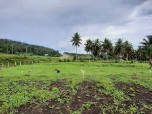 Tanah kavling dekat gerbang tol view gunung dan laut lokasi di Minahasa Utara Kab., tersedia melalui melalui situs Olx