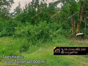 Tanah Kavling Gudang Bekas Pabrik Industri Raya Propinsi Provinsi Widang Tuban Jawa Timur Jatim lokasi di Tuban Kab., tersedia melalui melalui situs Olx