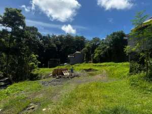 TANAH KAVLINGINVESTASIDEVELOPER DIBAWAH HARGA PASAR - KABA-KABA, KEDIRI - TABANAN lokasi di Tabanan Kab., tersedia melalui melalui situs Olx