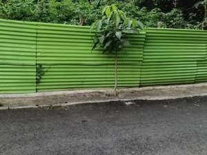 Tanah Kavling Kotak Di Jalan Guntur Semarang lokasi di Semarang Kota, tersedia melalui melalui situs Olx