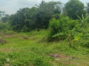 Tanah kavling luas di Cibubulang Bogor lokasi di Bogor Kab., tersedia melalui melalui situs Olx