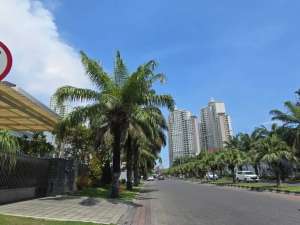 TANAH KAVLING MAINROAD PAKUWON INDAH JALAN BOULEVARD VBR 1 MURAH 25JTM NEGO lokasi di Surabaya Kota, tersedia melalui melalui situs Olx