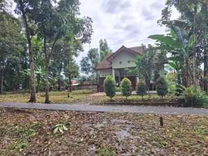 Tanah kavling murah lokasi di mijen dekat UP Town Mall BSB lokasi di Semarang Kota, tersedia melalui melalui situs Olx