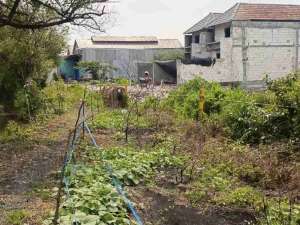 Tanah kavling murah shm medokan ayu lokasi di Surabaya Kota, tersedia melalui melalui situs Olx