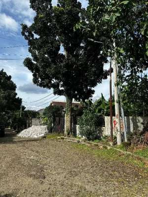 Tanah Kavling Perumahan Baranangsiang indahDekat Sumarecon Jagorawi lokasi di Bogor Kota, tersedia melalui melalui situs Olx