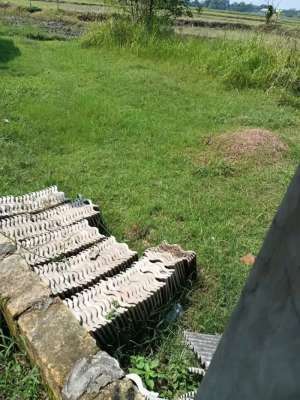 Tanah Kavling Perumahan Siap Bangun lokasi di Bojonegoro Kab., tersedia melalui melalui situs Olx