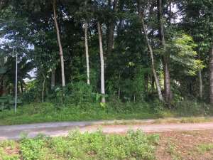 Tanah Kavling Siap Bangun Dekat UII, Lokasi Strategis untuk Kost Eksklusif lokasi di Sleman Kab., tersedia melalui melalui situs Olx