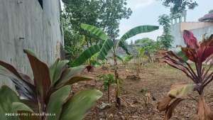 Tanah Kavling Siap Bangun di Komplek UNPAD Cigadung lokasi di Bandung Kab., tersedia melalui melalui situs Olx