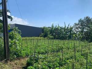 Tanah Kavling Siap Bangun, Harga Bersahabat lokasi di Malang Kota, tersedia melalui melalui situs Olx