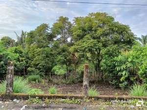 TANAH KAVLING STRATEGIS lokasi di Lahat Kab., tersedia melalui melalui situs Olx