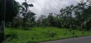 Tanah Kavling Strategis Salatiga Lokasi Potensial untuk GudangHunian lokasi di Salatiga Kota, tersedia melalui melalui situs Olx