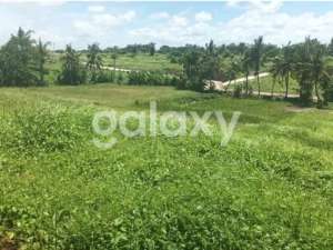 TANAH KAVLING VIEW SAWAH RAYA PANTAI KEDUNGU BELALANG KEDIRI TABANAN lokasi di Tabanan Kab., tersedia melalui melalui situs Olx