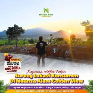 TANAH KAVLING VILA EXLUSIVE VIRAL FREE BIBIT POHON MANGGA SUPER lokasi di Bogor Kab., tersedia melalui melalui situs Olx