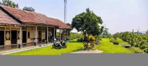 Tanah kebun buah produktif di Bogor lokasi di Bogor Kab., tersedia melalui melalui situs Olx