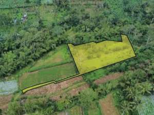 Tanah kebun cocok untuk eco villa pilan kerta payangan ubud bali lokasi di Gianyar Kab., tersedia melalui melalui situs Olx