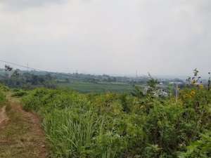 Tanah kebun dijual pandanlandung bandulan lt6700 leb100 akses mobil lokasi di Malang Kab., tersedia melalui melalui situs Olx