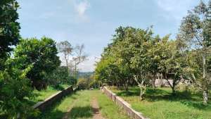 TANAH KEBUN JERUK DAN BANGUNAN VILLA KARANG WIDORO MALANG lokasi di Malang Kota, tersedia melalui melalui situs Olx