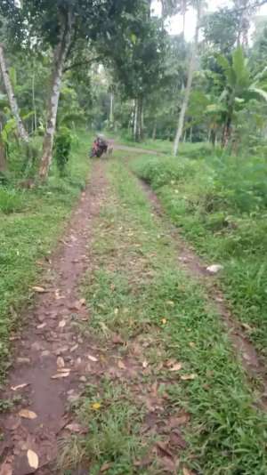 Tanah kebun murah lokasi di Salatiga Kota, tersedia melalui melalui situs Olx