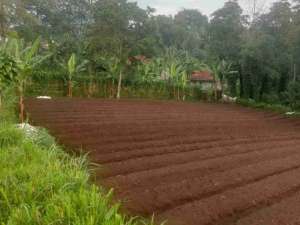 Tanah kebun murah Akses mobil, pamulihan lokasi di Sumedang Kab., tersedia melalui melalui situs Olx