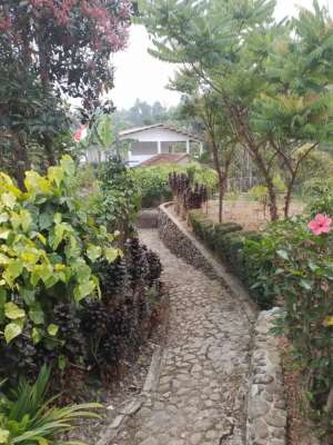 Tanah kebun n rumah lokasi di Bogor Kab., tersedia melalui melalui situs Olx