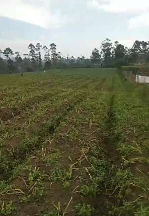 Tanah kebun pangalengan murah bisa masuk mobil lokasi di Bandung Kab., tersedia melalui melalui situs Olx