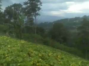 Tanah kebun pasir impun atas Akses masuk mobil. lokasi di Bandung Kota, tersedia melalui melalui situs Olx