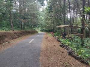 Tanah Kebun Produktif 2,6 Ha Pinggir Jln Provinsi -10 Menit Kota Bunga lokasi di Cianjur Kab., tersedia melalui melalui situs Olx