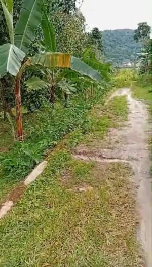 Tanah kebunsawah Di pancur lokasi di Serang Kota, tersedia melalui melalui situs Olx