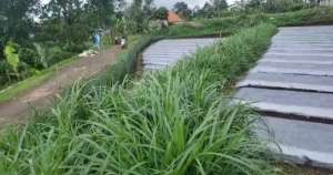 Tanah kebun subur cijambu tanjungsari akses mobil lokasi di Sumedang Kab., tersedia melalui melalui situs Olx