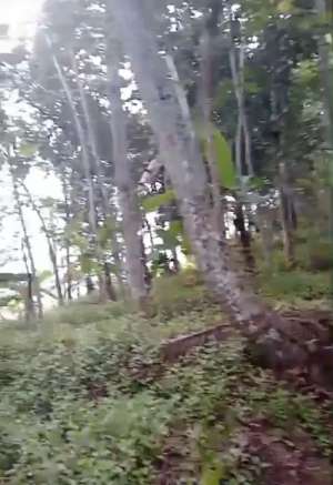 Tanah kebun Tanjungkerta ke pintu tol 3,5 km lokasi di Sumedang Kab., tersedia melalui melalui situs Olx