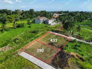 TANAH KEDUNGU Dekat NUANU PERERENAN CANGGU lokasi di Tabanan Kab., tersedia melalui melalui situs Olx