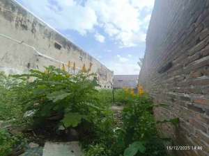 TANAH KESTALAN BANJARSARI KOTA SOLO DEKAT PASAR LEGI lokasi di Surakarta Kota, tersedia melalui melalui situs Olx