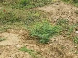 TanahKlampis Surabaya Row Jalan 3 Mobil lokasi di Surabaya Kota, tersedia melalui melalui situs Olx