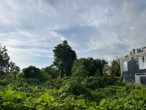 Tanah Komersial Berawa 500m ke Atlas Beach Club lokasi di Kab. Badung, tersedia melalui melalui situs Olx