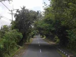 Tanah Komersial Panorama Hutan di Pelaga dengan Udara Sejuk Alami lokasi di Kab. Badung, tersedia melalui melalui situs Olx