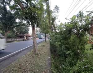 Tanah kontur datar di kabupaten jembrana bali lokasi di Jembrana Kab., tersedia melalui melalui situs Olx