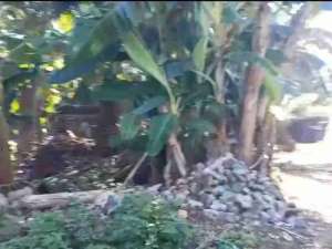 tanah kosong lokasi di Tangerang Selatan Kota, tersedia melalui melalui situs Olx