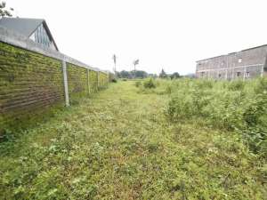 Tanah kosong Karangwangkal kompleks kampus Unsoed Purwokerto lokasi di Banyumas Kab., tersedia melalui melalui situs Olx