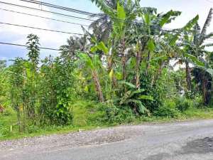 Tanah kosong Toyareja dekat pabrik Victoria Purbalingga lokasi di Purbalingga Kab., tersedia melalui melalui situs Olx